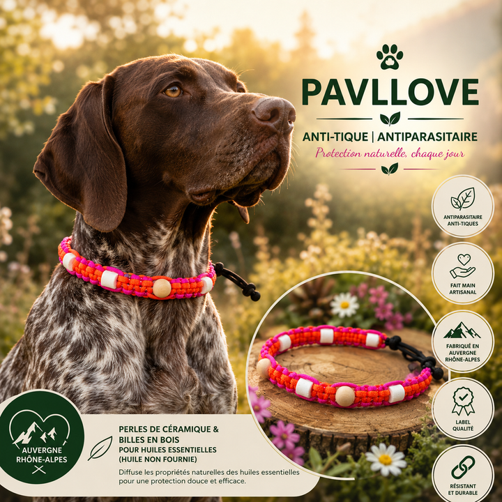 Collier Anti-Tiques & Antiparasitaire Naturel Chien et Chat, Fait Main en France, Perles de Céramique EM (Gamme Tréssée)