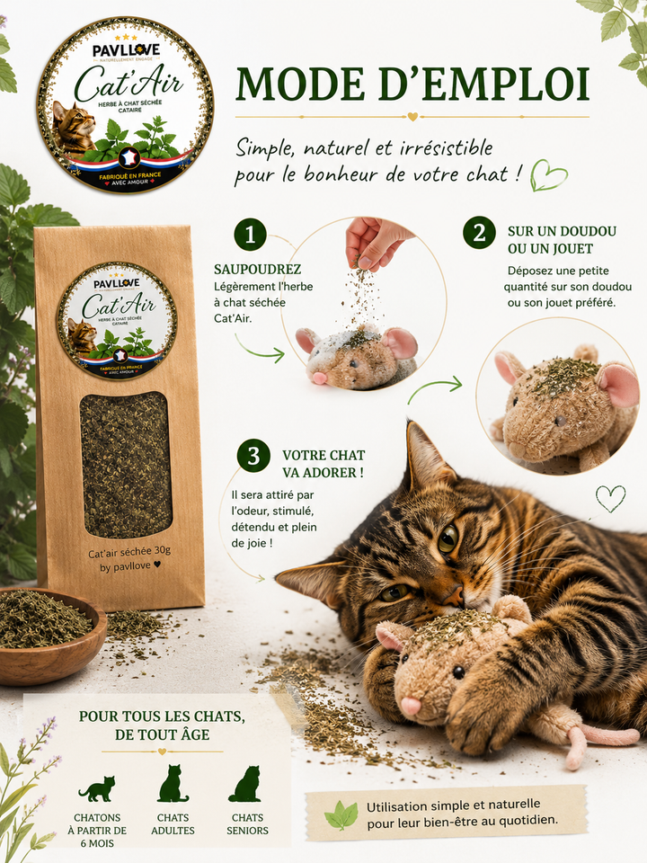 Cat'Air - Herbe séchée pour chat cataire ⭐⭐⭐⭐⭐
