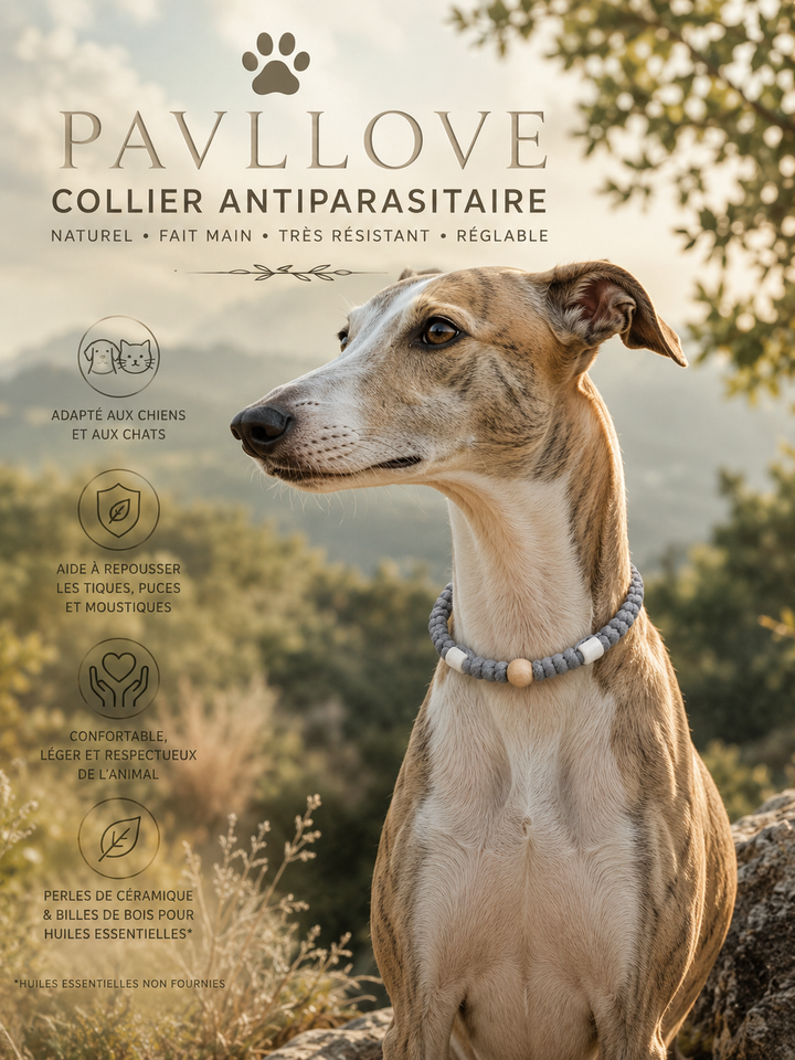 Collier Gris Torsadé Anti-Tiques Naturel, Antiparasitaire avec Perles de Céramique EM ⭐⭐⭐⭐⭐