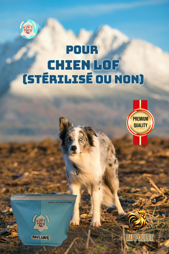 Croquettes haut de gamme pour chien Adulte & Senior - Poulet