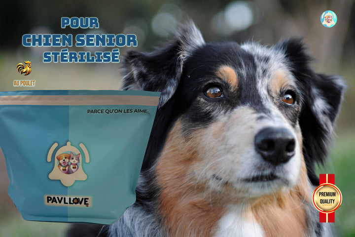 Croquettes haut de gamme pour chien Adulte & Senior - Poulet