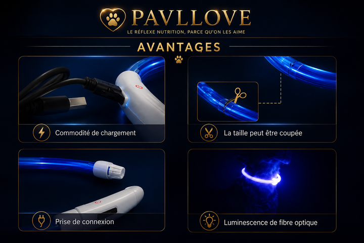 Colliers LED Pavllove pour chiens et chats