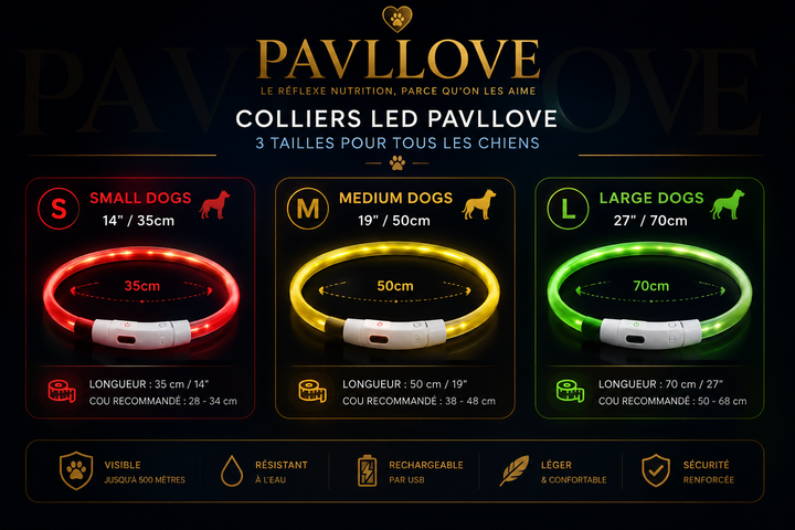 Colliers LED Pavllove pour chiens et chats