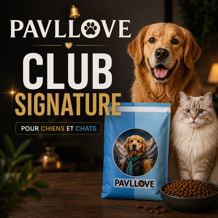 👑 Club Signature Pavllove®