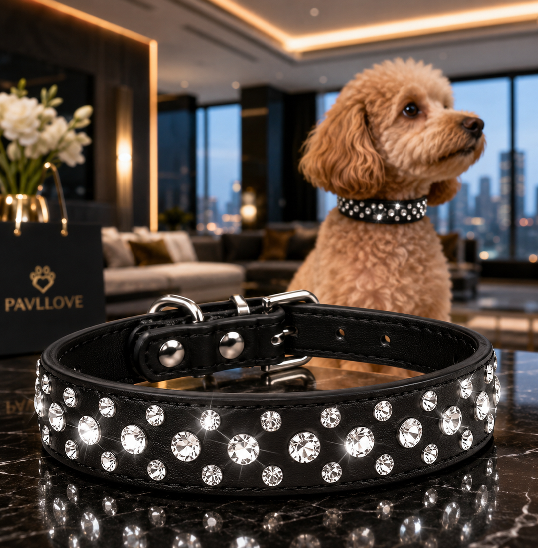 Collier Strass Noir – Chien & Chat | Élégant, Résistant & Confortable ⭐⭐⭐⭐⭐
