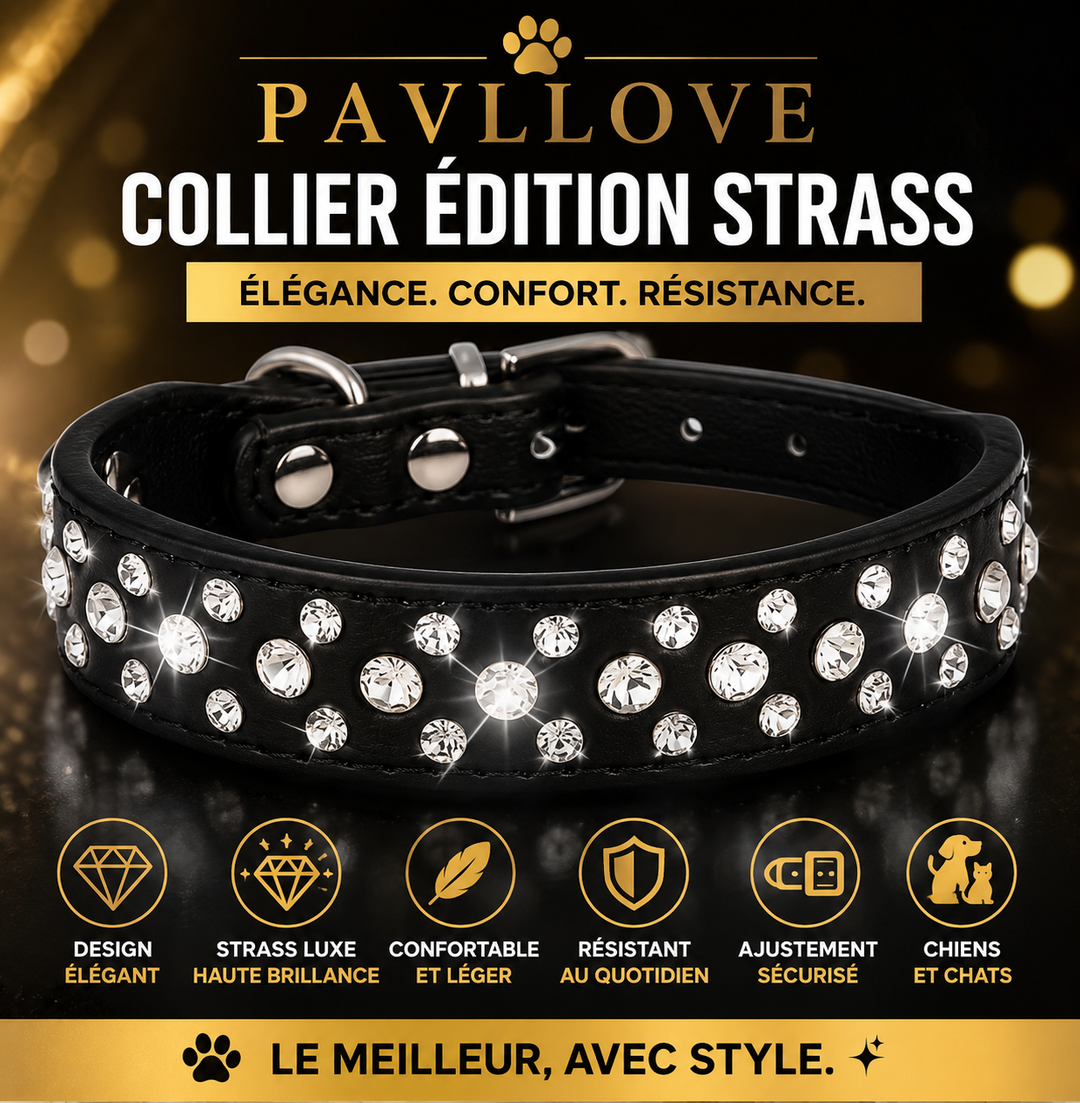 Collier Strass Noir – Chien & Chat | Élégant, Résistant & Confortable ⭐⭐⭐⭐⭐