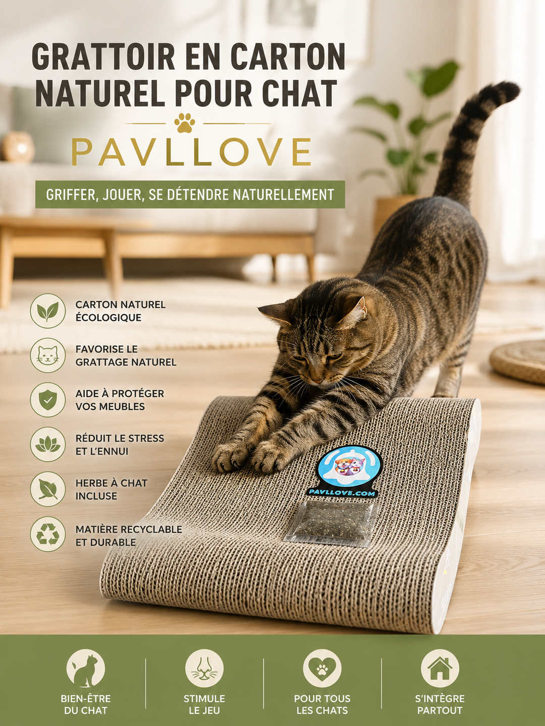 🐾 Grattoir en carton Pavllove Avec échantillon d’herbe à chat offert 🌿 ⭐⭐⭐⭐⭐