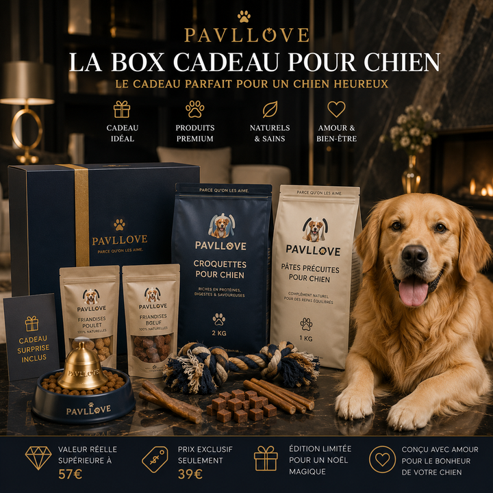 🐶 BOX CADEAU PAVLLOVE – ÉDITION SPÉCIALE CHIEN ⭐⭐⭐⭐⭐