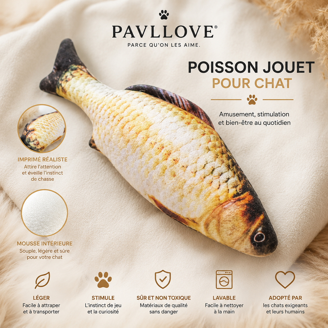 🐟 Jouet poisson  Le doudou préféré des chats 🐱 ⭐⭐⭐⭐⭐