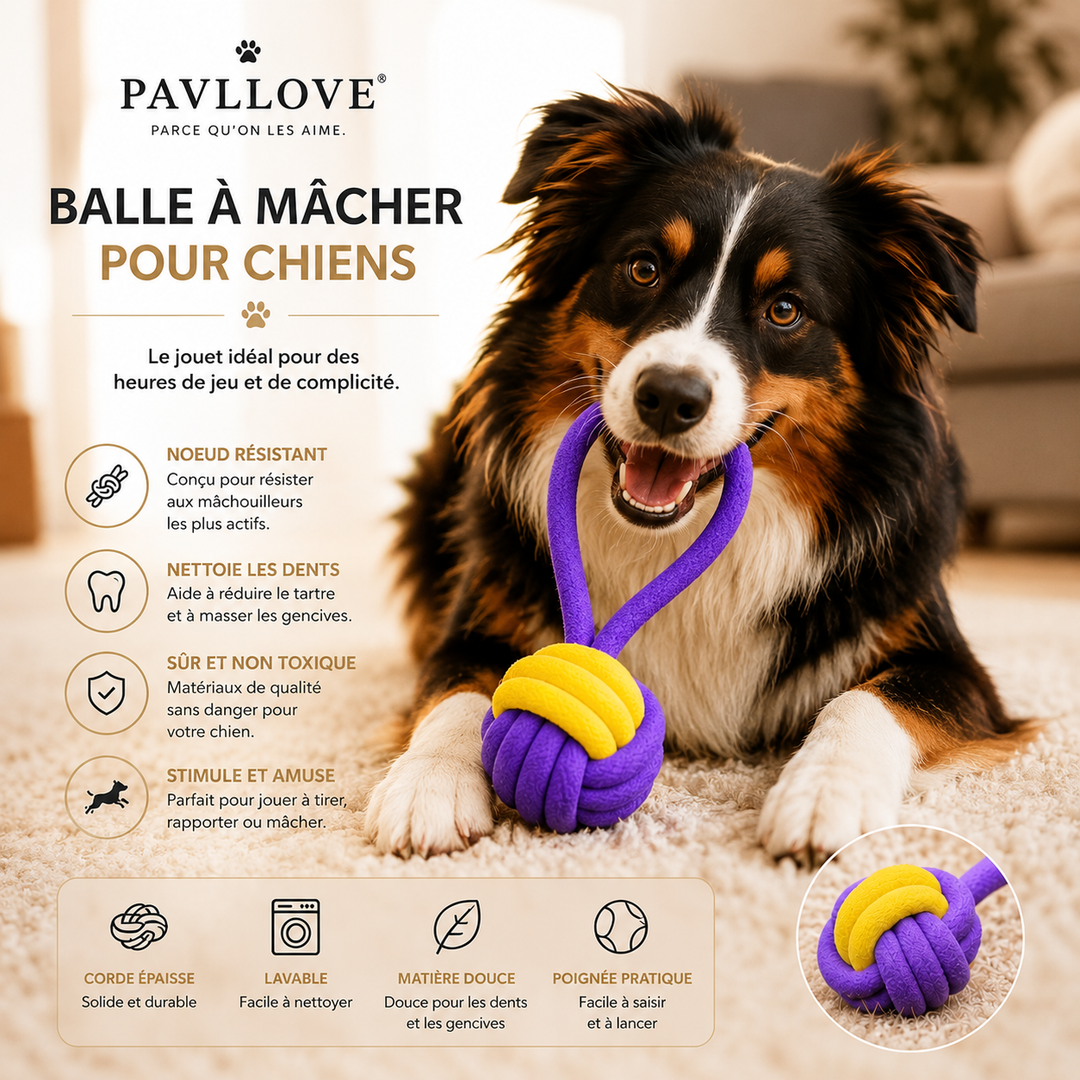 🐾 Jouet à mâcher Pavllove – Anneau en corde tressée naturelle 🦴 ⭐⭐⭐⭐⭐