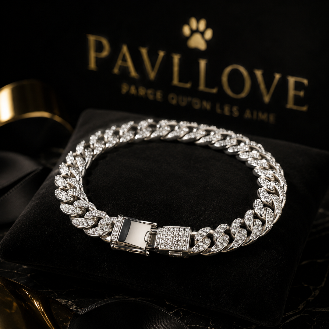 💎 Collier pour chien et chat, Édition Royale – Élégance, Brillance Absolue avec ses strass ⭐⭐⭐⭐⭐
