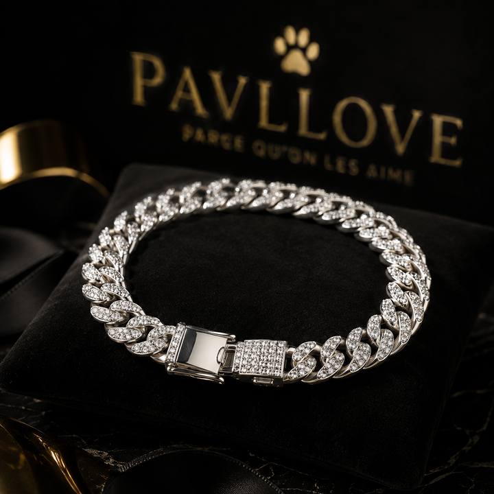 💎 Collier pour chien et chat, Édition Royale – Élégance, Brillance Absolue avec ses strass ⭐⭐⭐⭐⭐