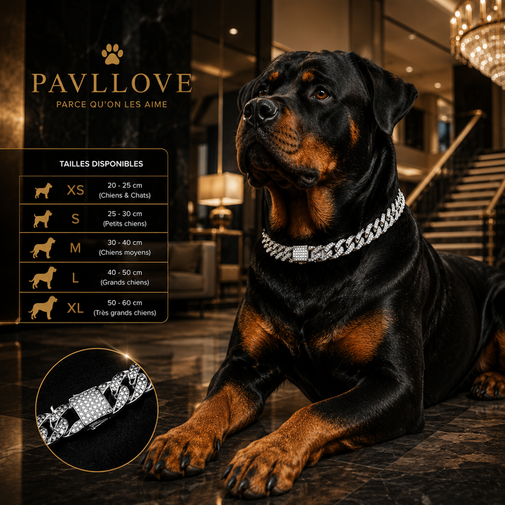 💎 Collier pour chien et chat, Édition Royale – Élégance, Brillance Absolue avec ses strass ⭐⭐⭐⭐⭐