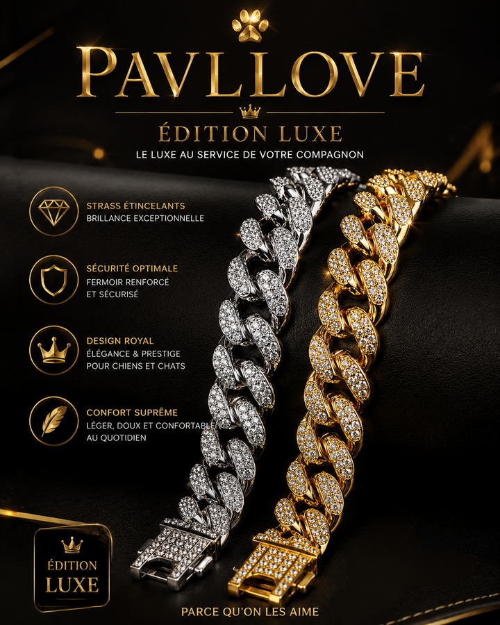 💎 Collier pour chien et chat, Édition Royale – Élégance, Brillance Absolue avec ses strass ⭐⭐⭐⭐⭐