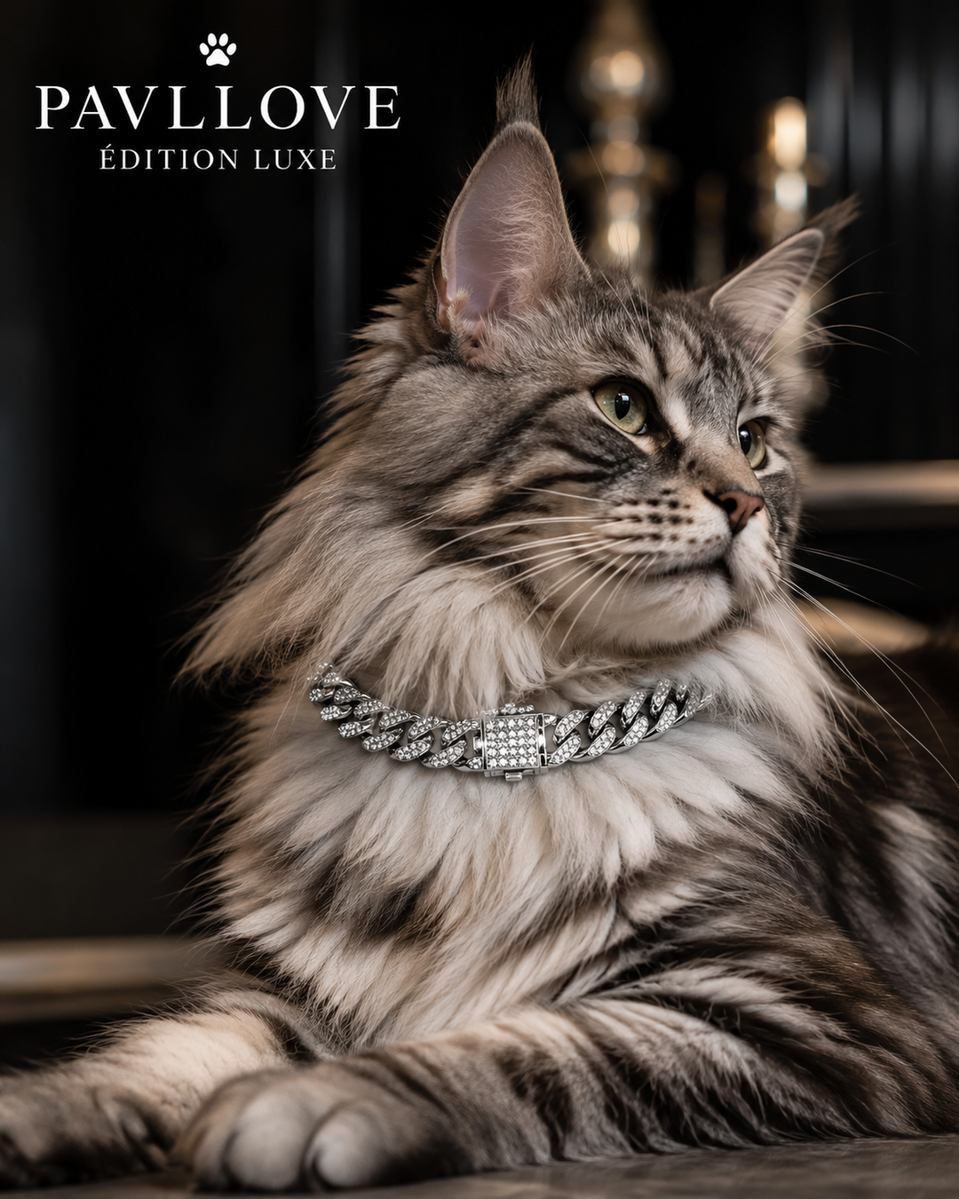💎 Collier pour chien et chat, Édition Royale – Élégance, Brillance Absolue avec ses strass ⭐⭐⭐⭐⭐