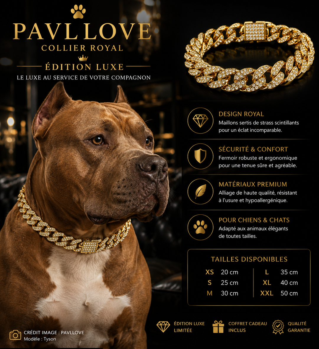 💎 Collier pour chien et chat, Édition Royale – Élégance, Brillance Absolue avec ses strass ⭐⭐⭐⭐⭐