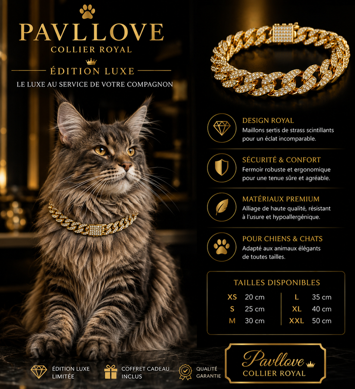💎 Collier pour chien et chat, Édition Royale – Élégance, Brillance Absolue avec ses strass ⭐⭐⭐⭐⭐