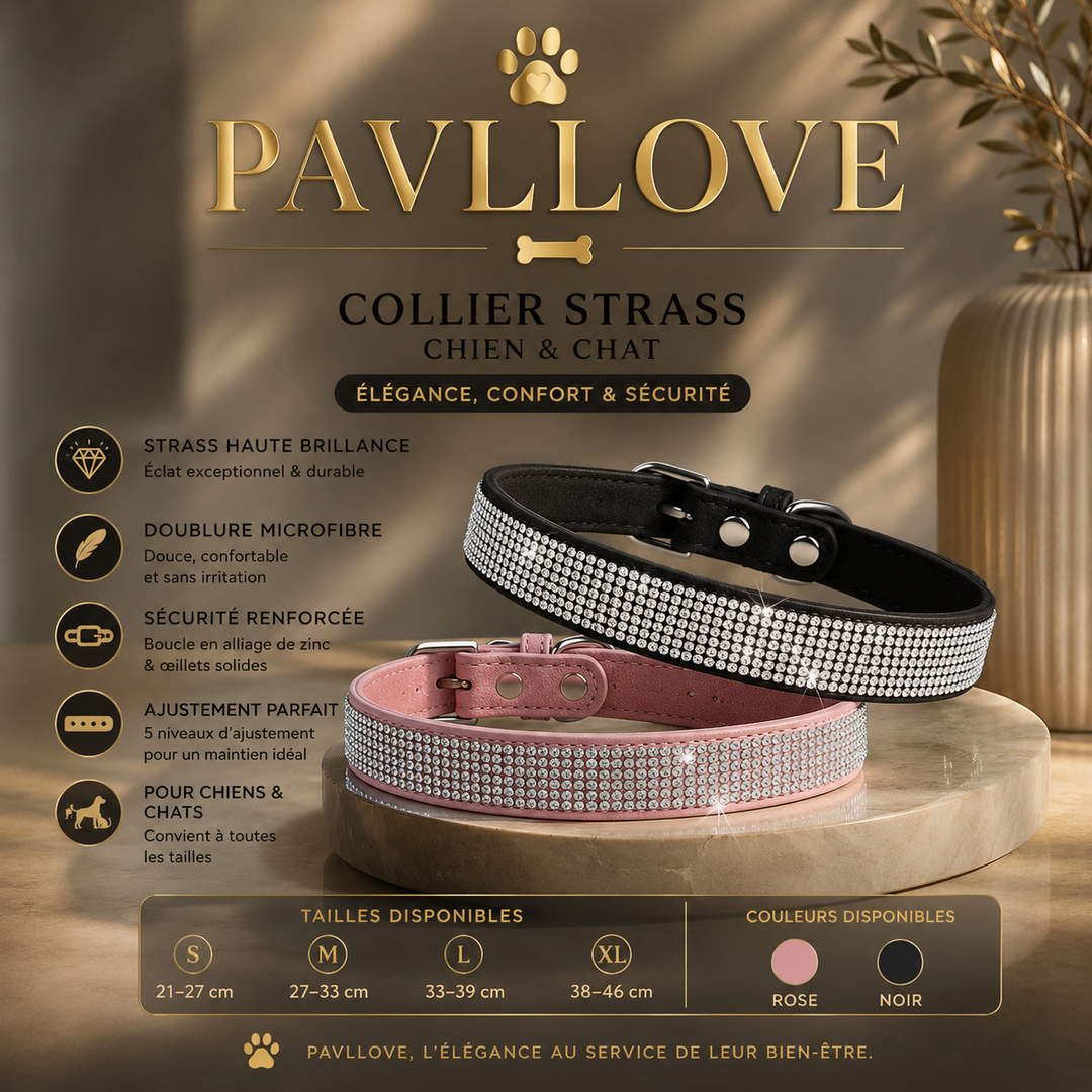 Collier strass chien chat – Élégant et ajustable Pavllove ⭐⭐⭐⭐⭐