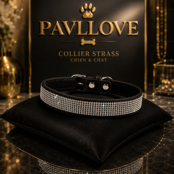 Collier strass chien chat – Élégant et ajustable Pavllove ⭐⭐⭐⭐⭐
