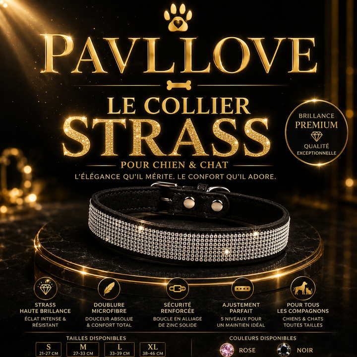 Collier strass chien chat – Élégant et ajustable Pavllove ⭐⭐⭐⭐⭐