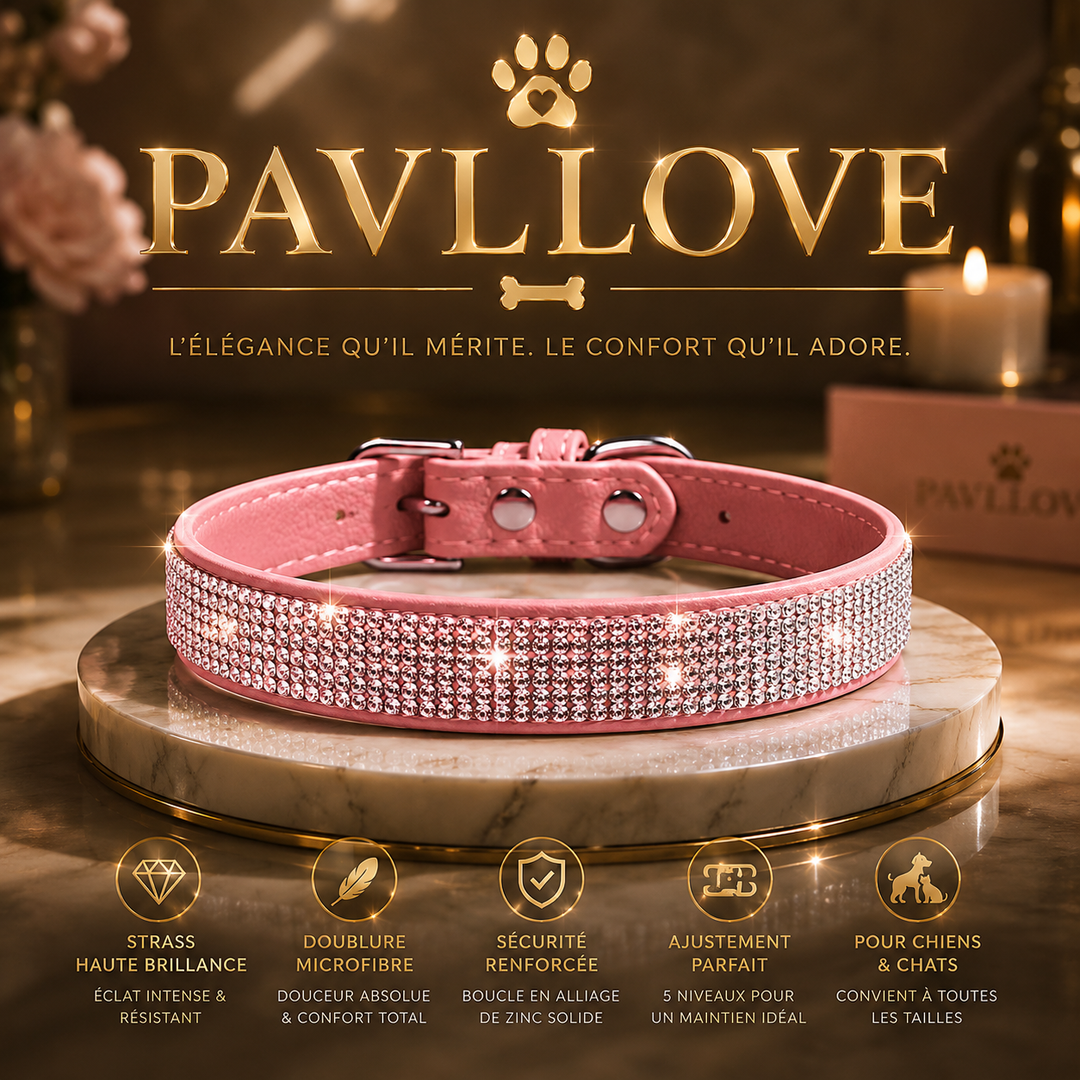 Collier strass chien chat – Élégant et ajustable Pavllove ⭐⭐⭐⭐⭐