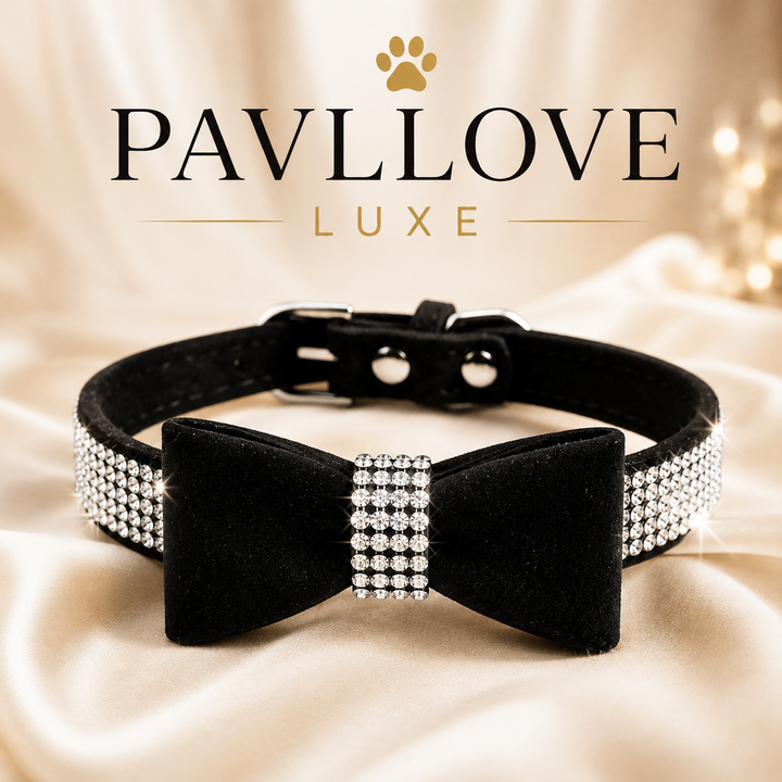 Collier nœud papillon bijoux pour chiens et chats ⭐⭐⭐⭐⭐