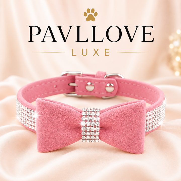 Collier nœud papillon bijoux pour chiens et chats ⭐⭐⭐⭐⭐