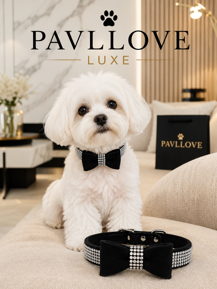 Collier nœud papillon bijoux pour chiens et chats ⭐⭐⭐⭐⭐