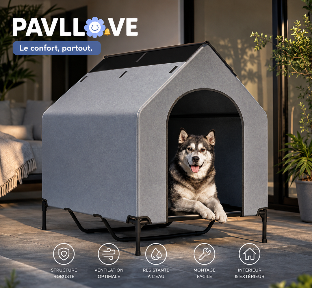 🏡 La Niche pour chien, d'exterieur ou d'interieur,  Robuste, Ventilée & Facile à Vivre ! 🐾