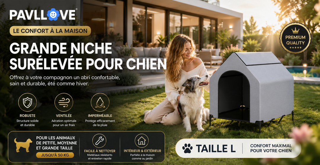 🏡 La Niche pour chien, d'exterieur ou d'interieur,  Robuste, Ventilée & Facile à Vivre ! 🐾