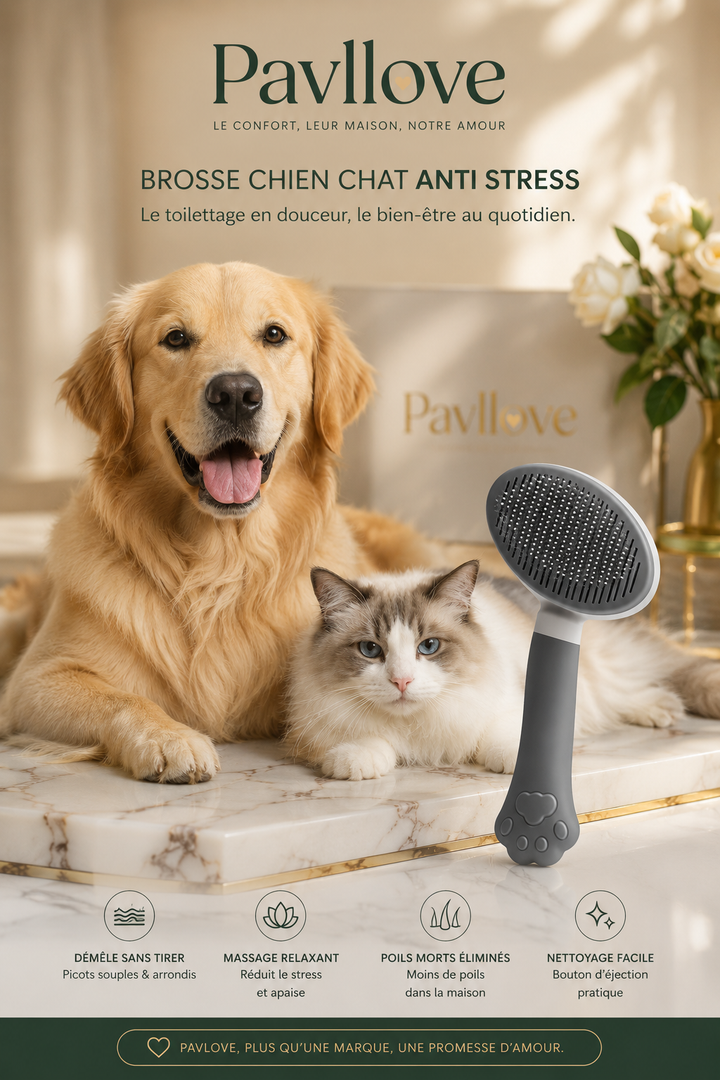 brosse anti stress chien chat – brosse de toilettage douce Pavllove ⭐⭐⭐⭐⭐