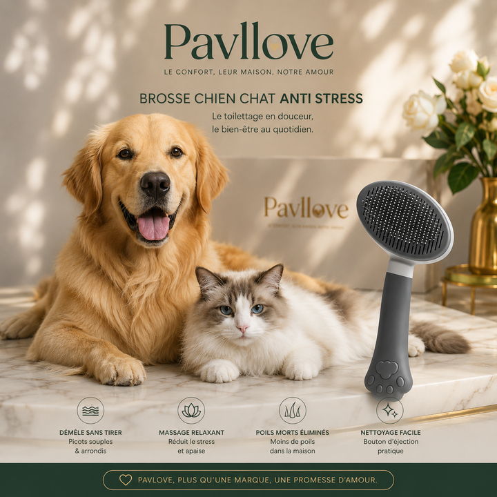 brosse anti stress chien chat – brosse de toilettage douce Pavllove ⭐⭐⭐⭐⭐