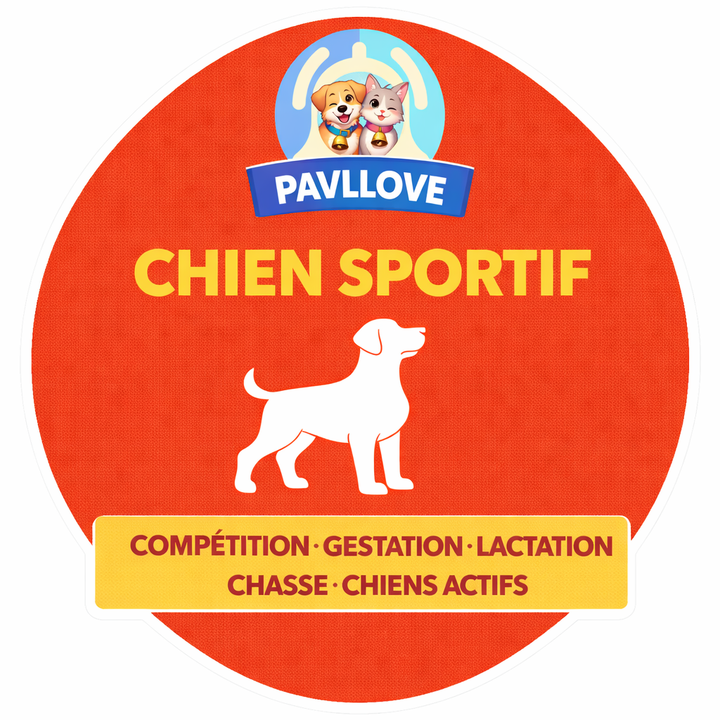Croquettes haut de gamme pour chien sportif (gestation / lactation / compétition) -Volaille ⭐⭐⭐⭐⭐