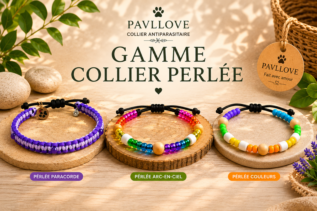 Collier Perle  multicolor plein Anti-Tiques & Antiparasitaire Naturel, Perles de Céramique EM  ⭐⭐⭐⭐⭐