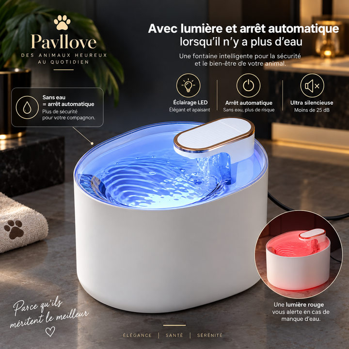 Fontaine silencieuse pour chat d’intérieur avec eau en circulation