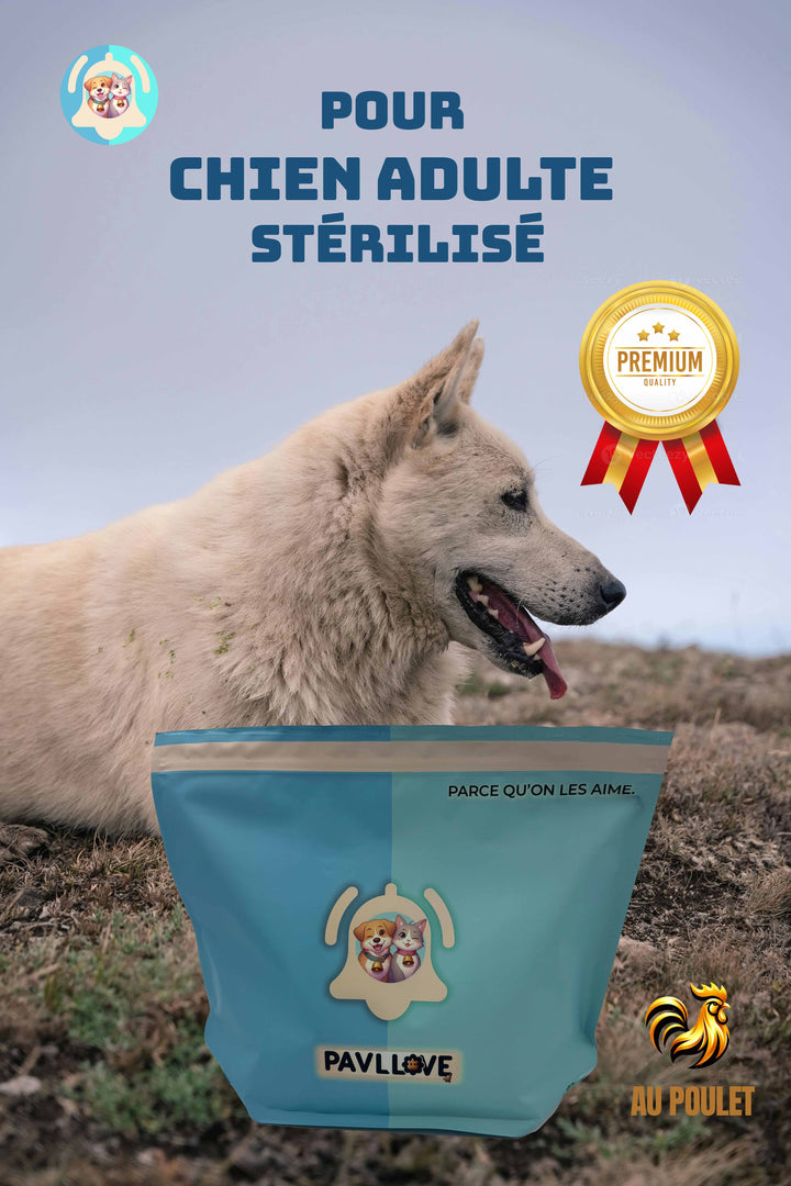 Croquettes haut de gamme pour chien Adulte & Senior - Poulet