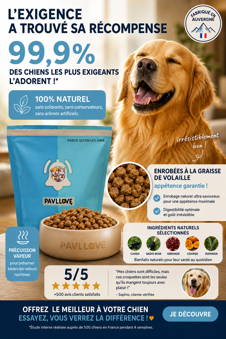 Croquettes premium volaille pour chien adulte fabriquées en France