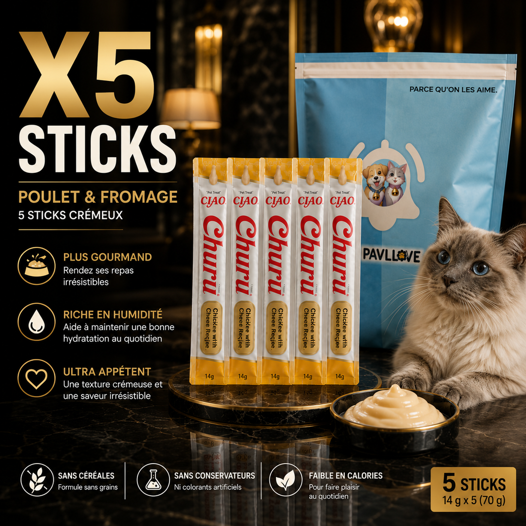 Topping croquettes chat ultra appétent Churu poulet fromage riche en humidité