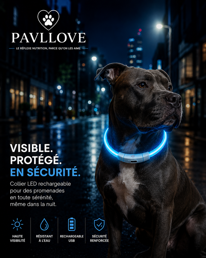 Colliers LED Pavllove pour chiens et chats