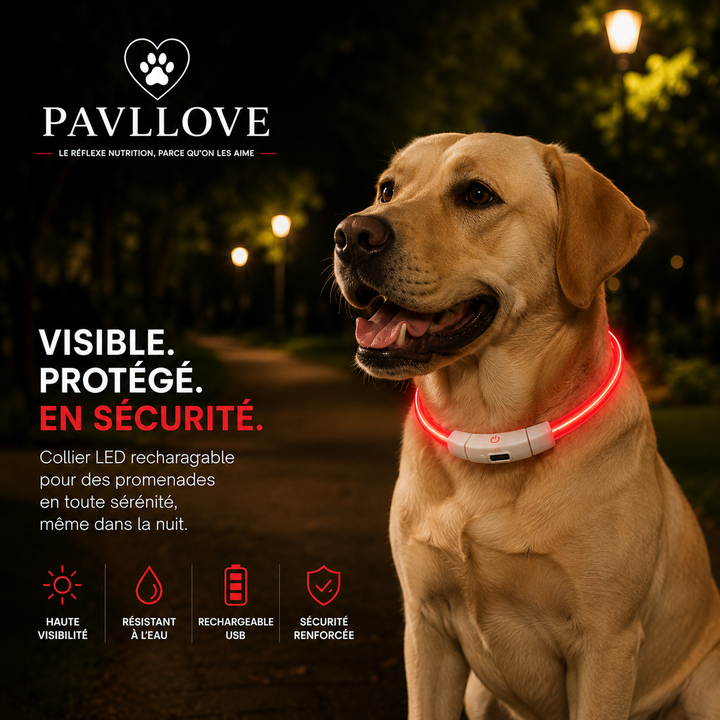 Colliers LED Pavllove pour chiens et chats