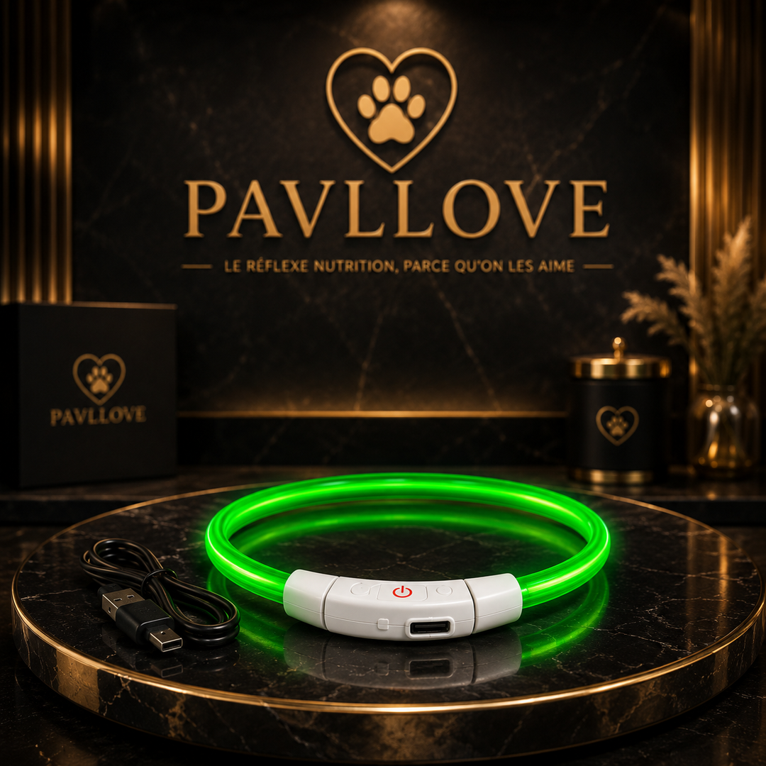 Colliers LED Pavllove pour chiens et chats