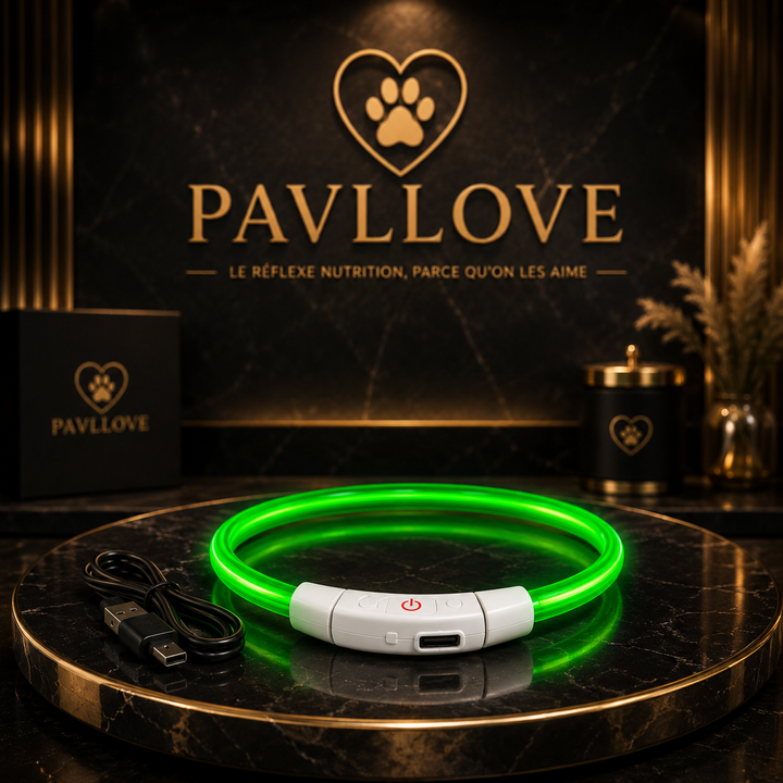 Colliers LED Pavllove pour chiens et chats