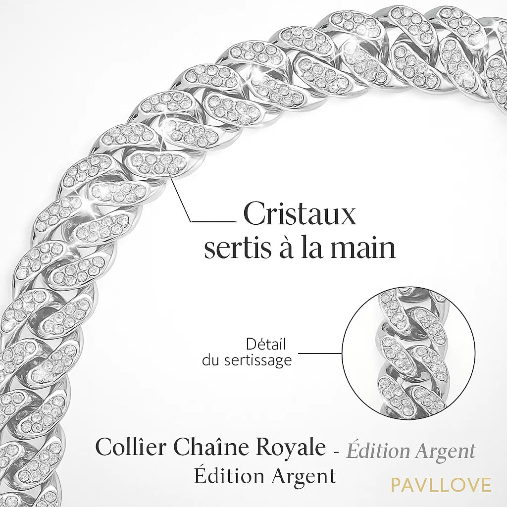 Collier élégant Pavllove pour animaux, bijou argenté décoré de strass, chic et ajustable pour chiens et chats de toutes races.