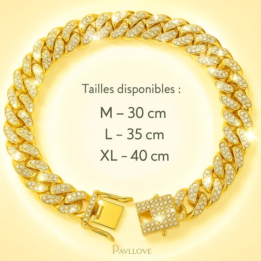 💎 Collier pour chien et chat, Édition Royale – Élégance, Brillance Absolue avec ses strass - Pavllove