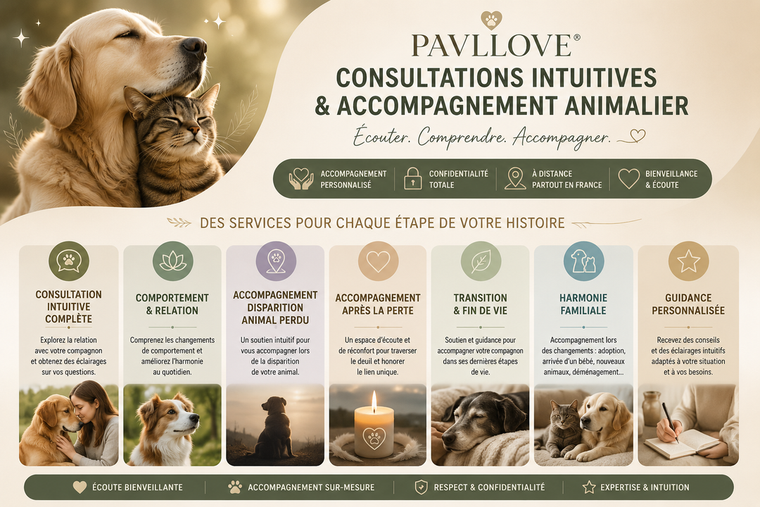 Consultation, communication Intuitive Complète