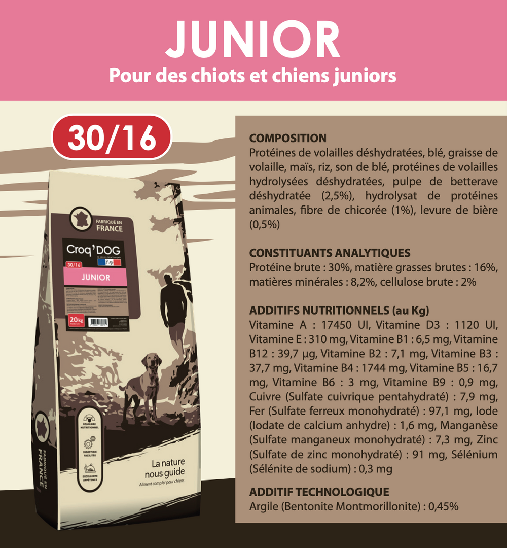 Croquettes croc dg pour chien junior