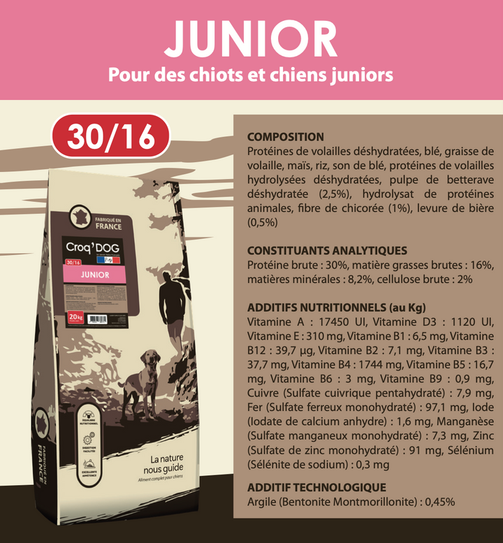 Croquettes croc dg pour chien junior