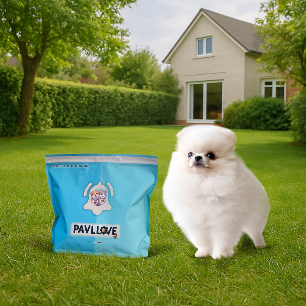🍗 Croquettes Pavllove pour petit chien adulte & senior – au poulet français, naturelles, riches en protéines et vitamines, cuisson vapeur, sans additifs.
100 % françaises, équilibrées, digestes et premium. 🐾