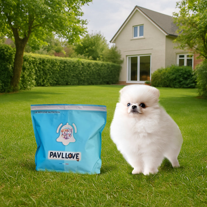 Croquette pour petit chien