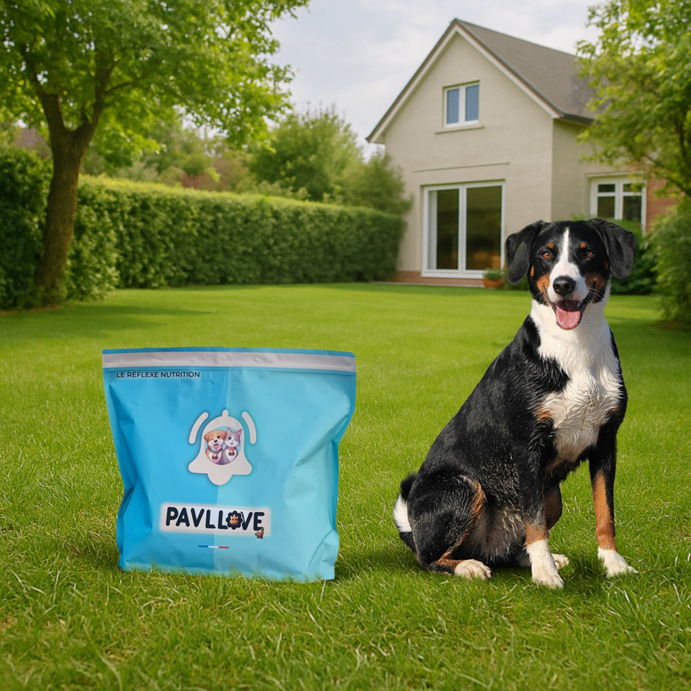 Croquettes haut de gamme pour chien Adulte & Senior - Poulet - Pavllove